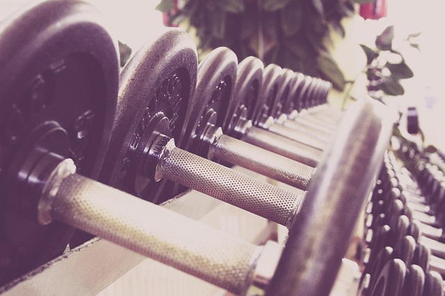 Beginner Gym Workout: Navigating the Weights Room with Confidence