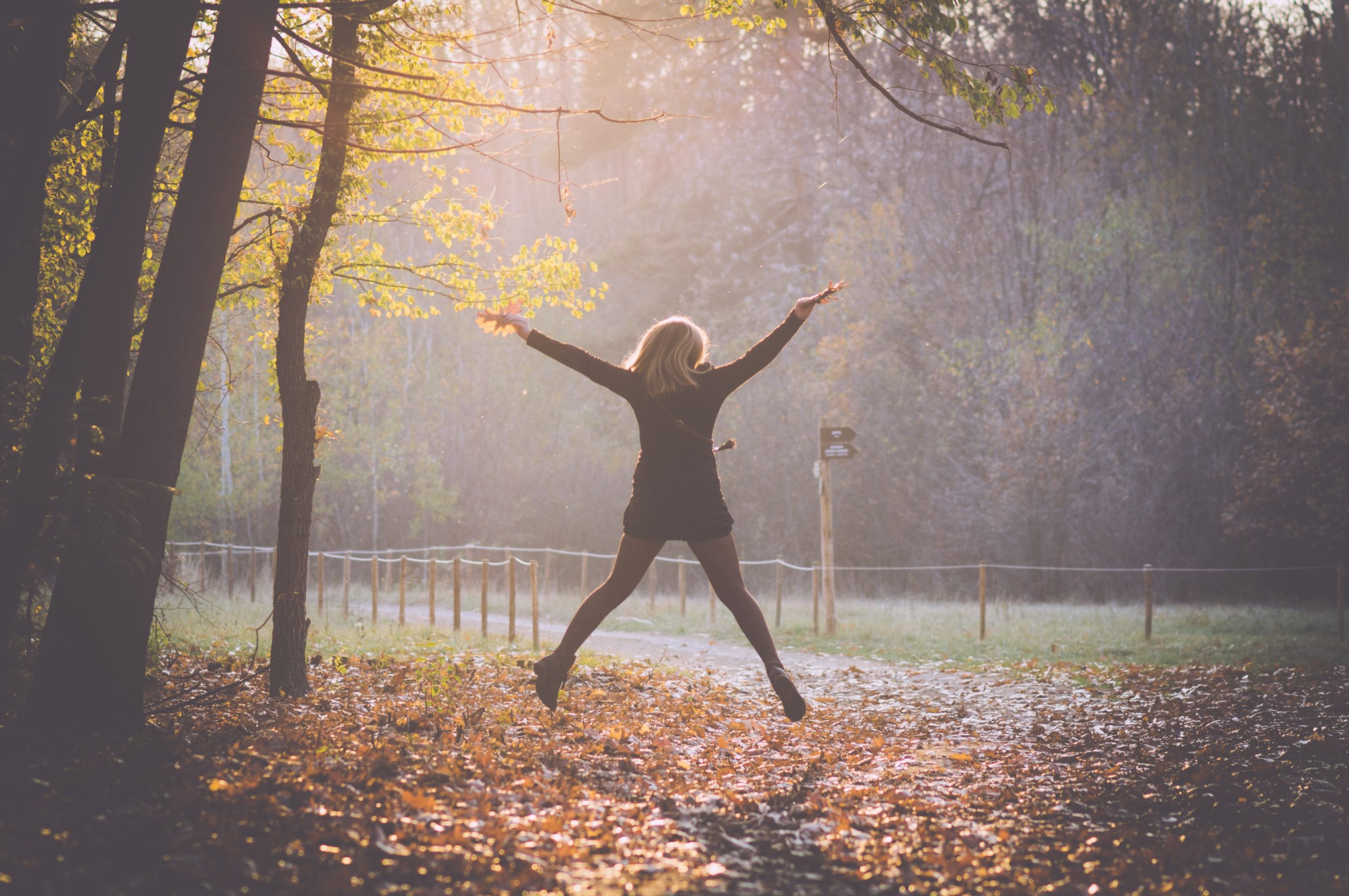 Jumping Jacks Photo by Konstantin Planinski on Unsplash